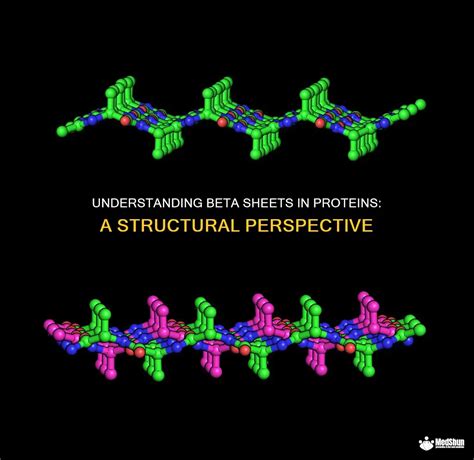 beta sheet antiparallel|Understanding Beta Sheets In Proteins: A Structural Perspective.